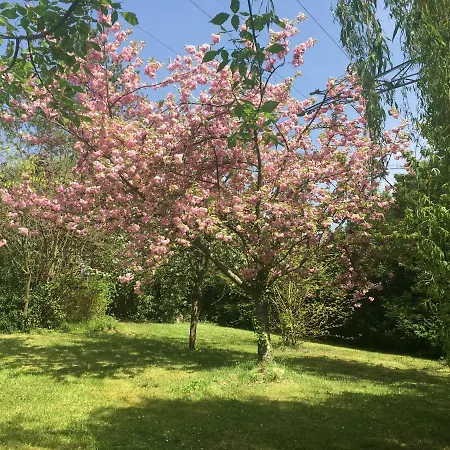 Oclos Du Rhuiso Casa vacanze Rhuis